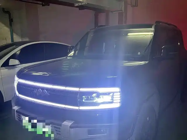 fang-cheng-bao leopard-5