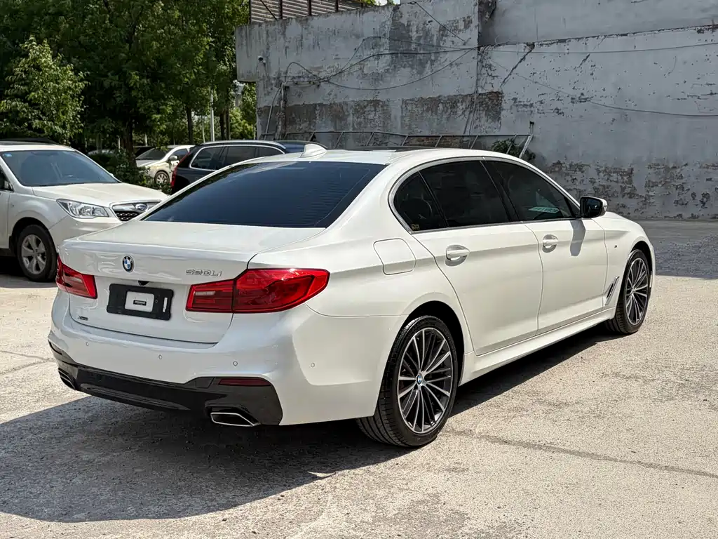 BMW 5 Series 5 2020 530Li xDrive M Sport