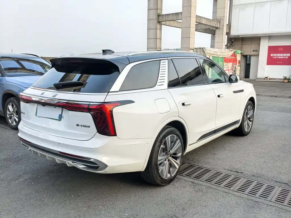 Hongqi E-HS9 2021 460km мест