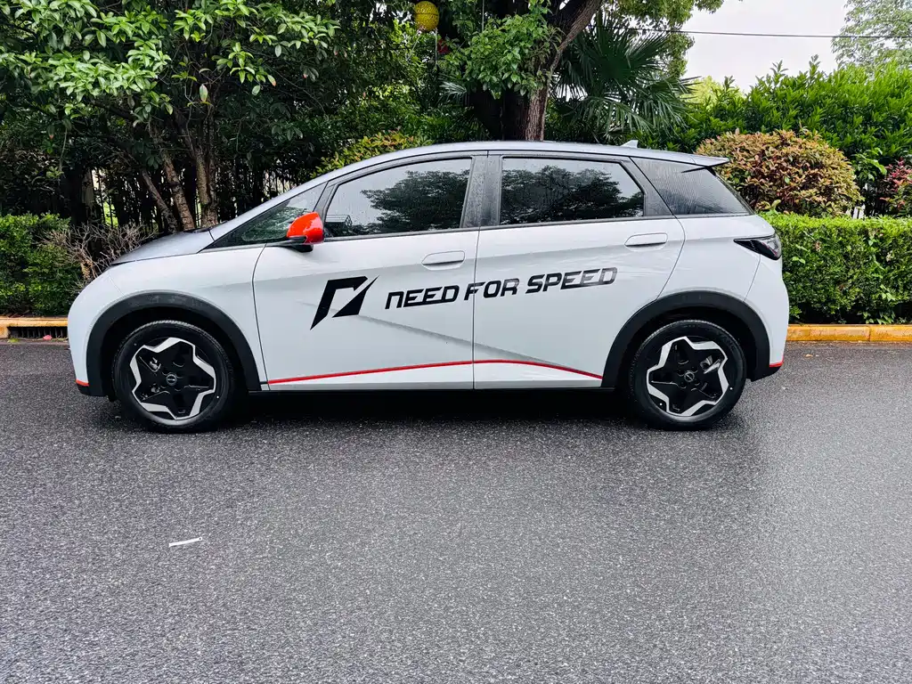 BYD Dolphin 2021 405km Freedom