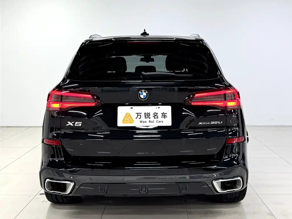 BMW X5 2022 xDrive 30Li Premium M Sport