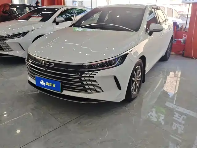 BYD DESTROYER 05 2024