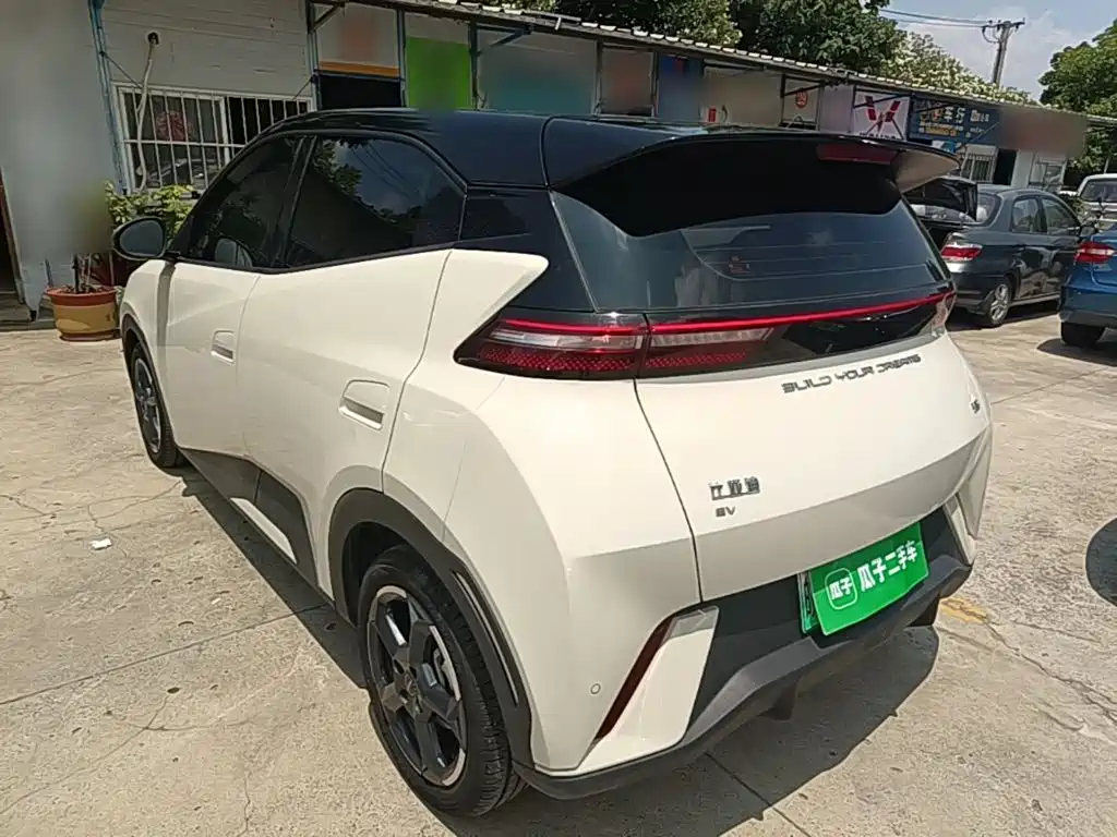 BYD Seagull 2024 305km Freedom