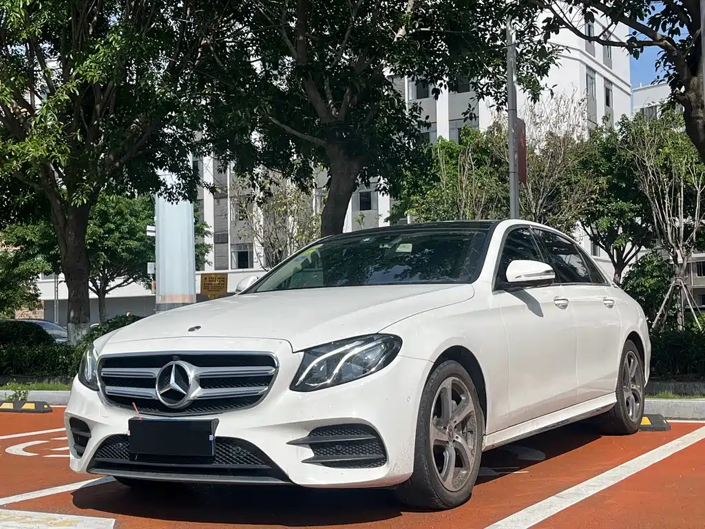 Mercedes-Benz E-Class 2019 E 300 L Sport Luxury Type