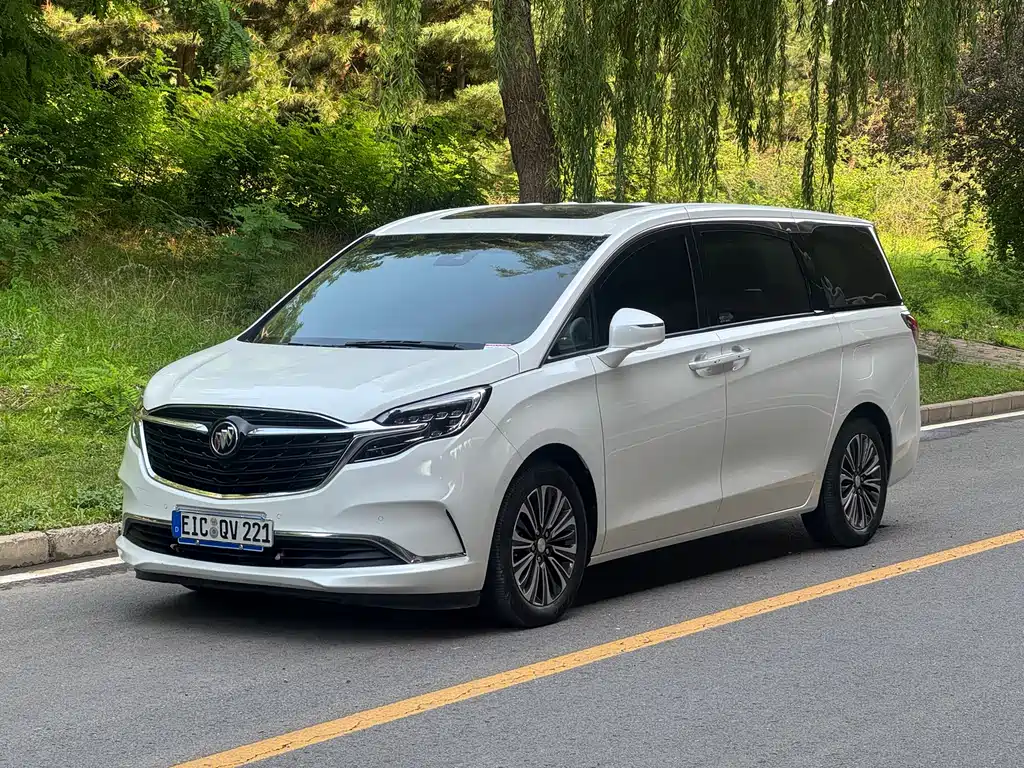Buick GL8 2021 ES LandKing 653T Luxury Type