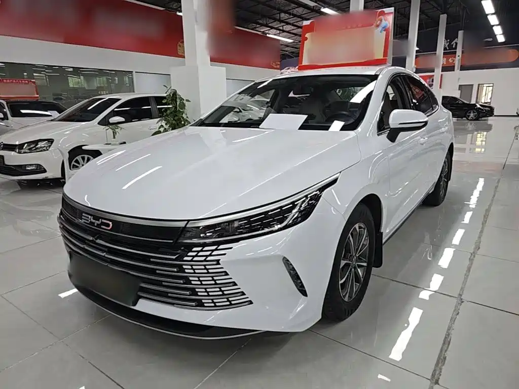 BYD Destroyer 05 2023 Champion DM-i 55KM Luxury