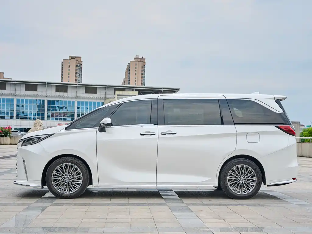 Lexus LM 2023 500h мест