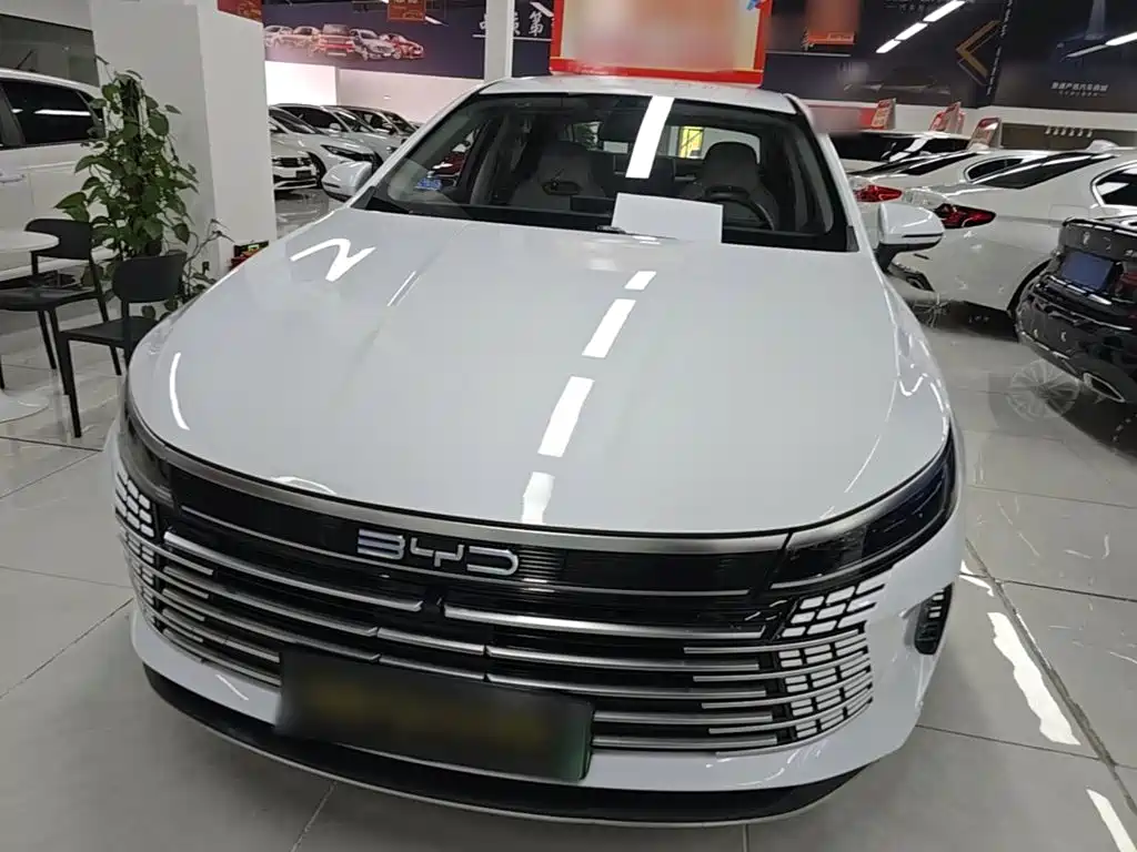 BYD Destroyer 05 2023 Champion DM-i 55KM Luxury
