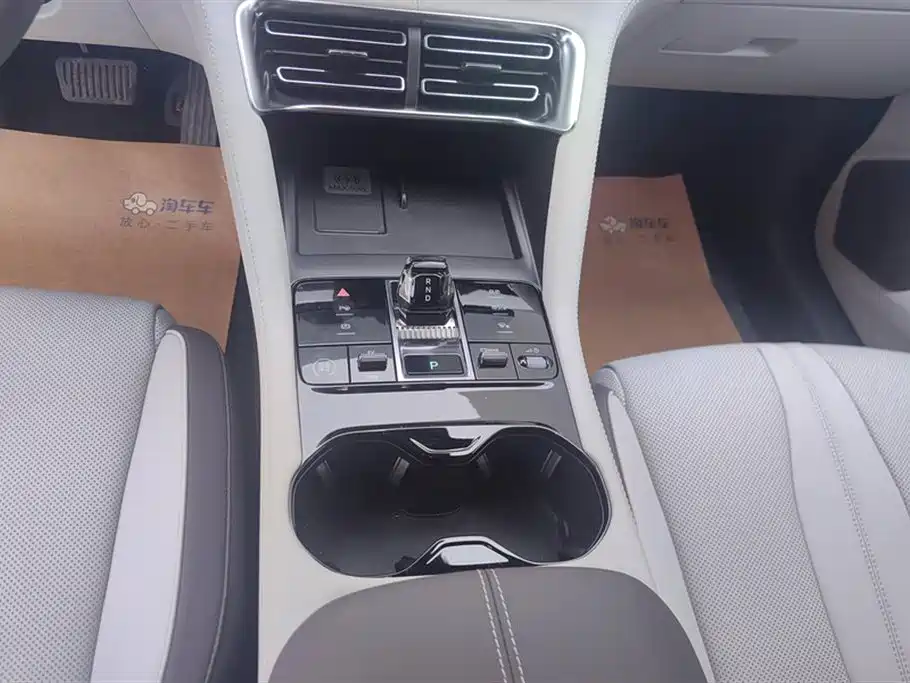 BYD SONGJIANG NEW ENERGY