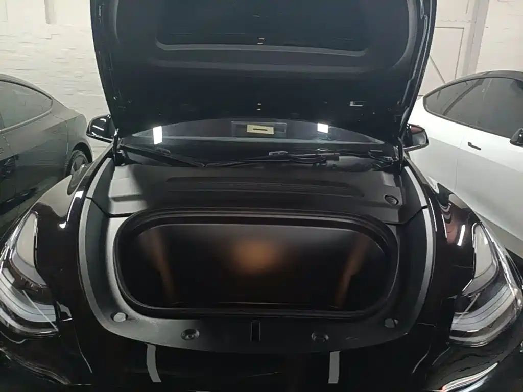 Tesla Model Y — миниатюра 20
