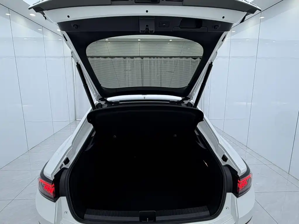 Volkswagen Lamando — миниатюра 14