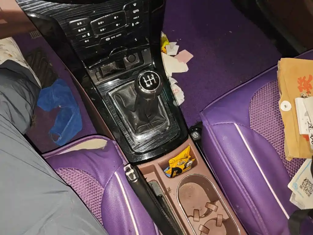 BYD Surui — миниатюра 14