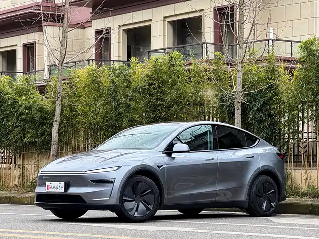 TESLA MODEL Y 2025
