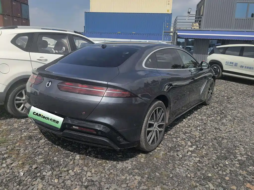 Denza Denza Z9 — миниатюра 12