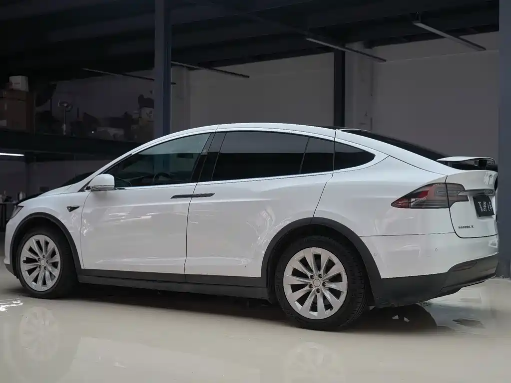 Tesla Model X — миниатюра 5