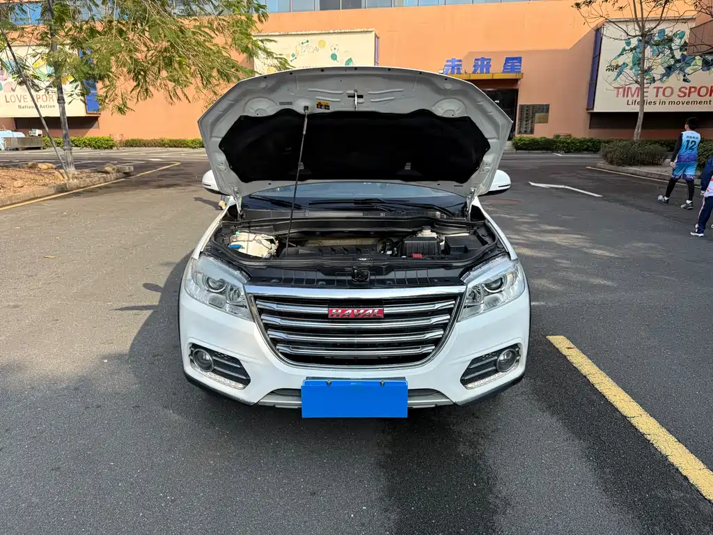 HAVAL H6