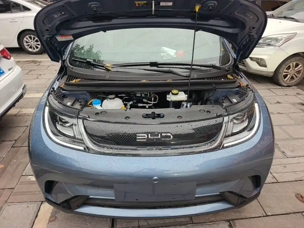 BYD Dolphin — миниатюра 20