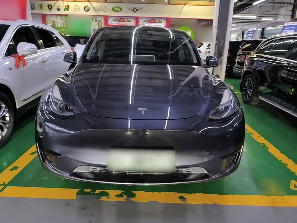 Tesla Model Y — миниатюра 3