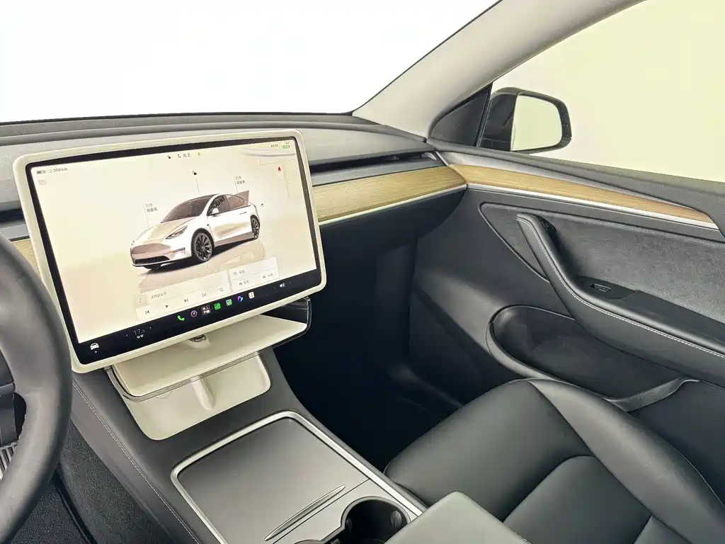 Tesla Model Y — миниатюра 6
