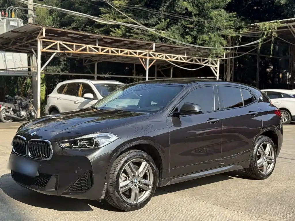 BMW X2 — миниатюра 2