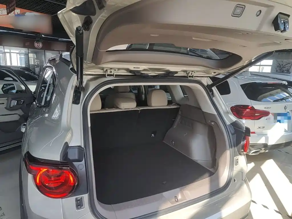Haval Big Dog PLUS New Energy — миниатюра 19