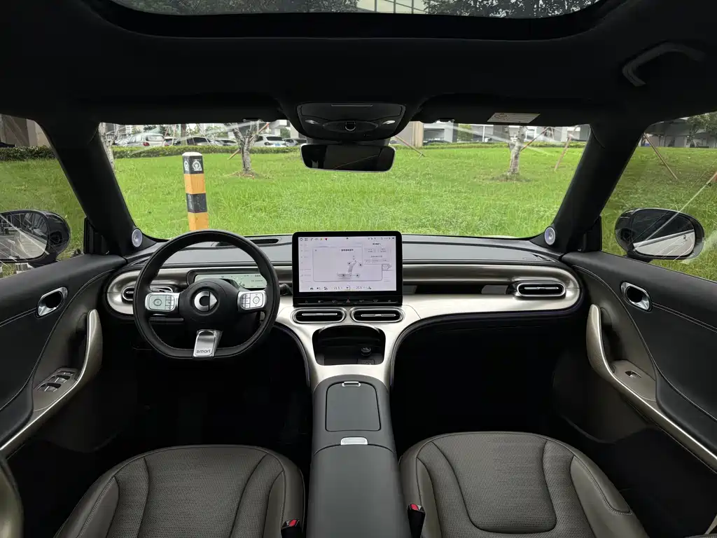 smart Smart #1 — миниатюра 15