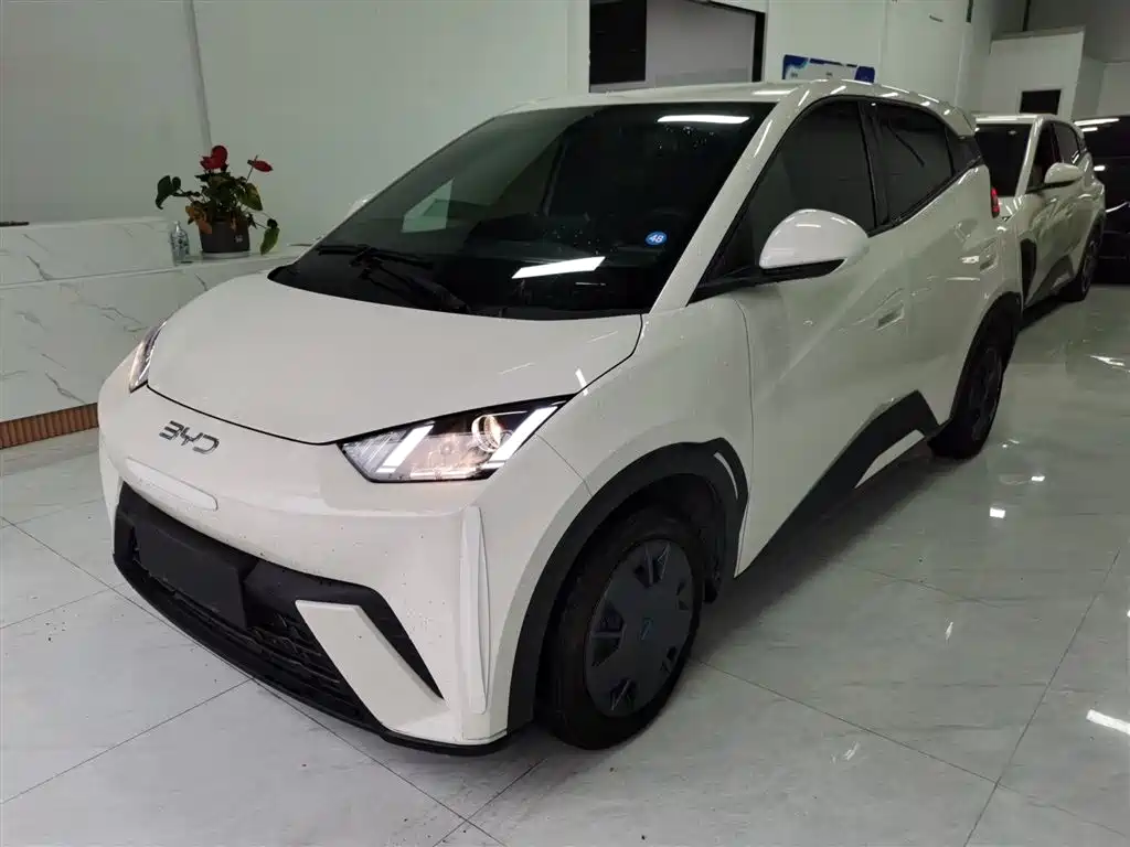 Byd Seagull 2025