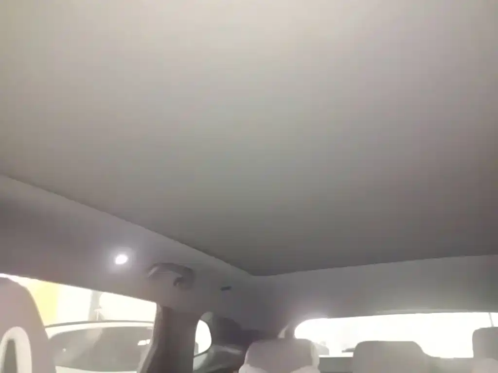 BYD PLUS New Energy — миниатюра 18