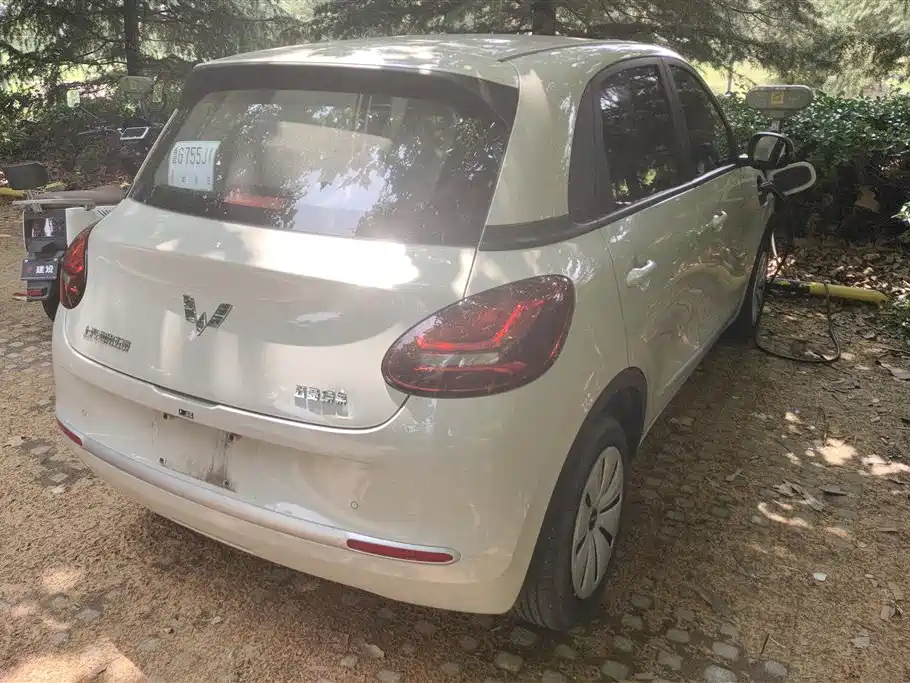 Wuling Binguo 2023 203km