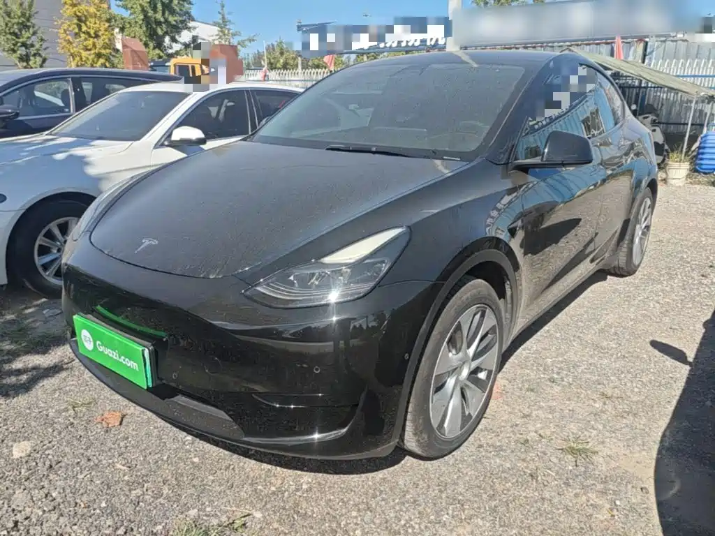 Tesla Model Y — миниатюра 2