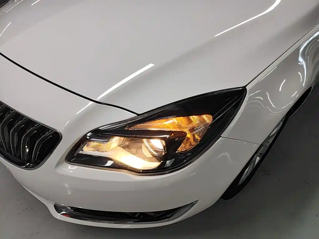 Buick Regal — миниатюра 24