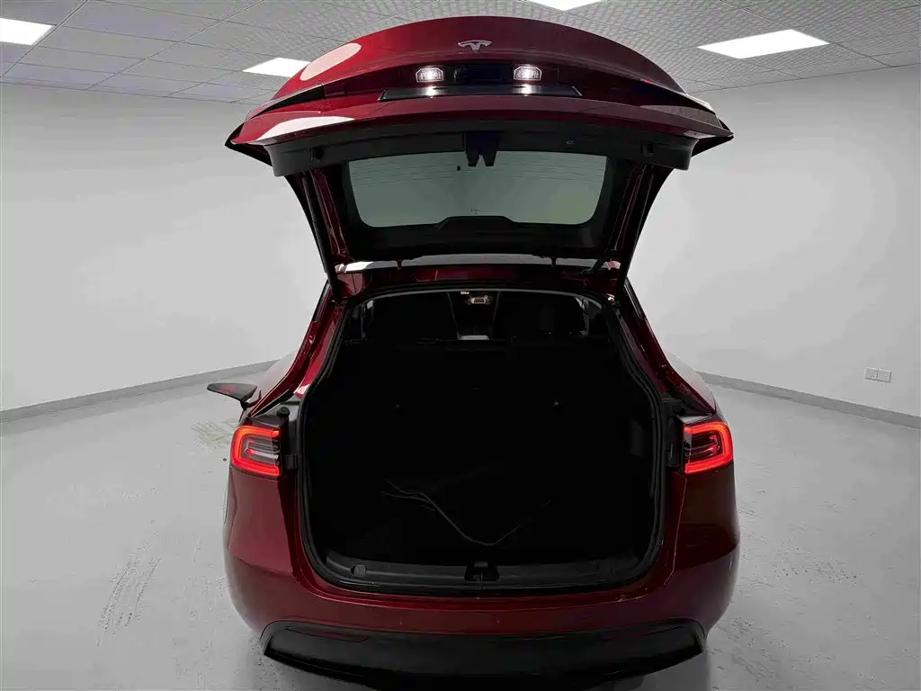 Tesla Model Y — миниатюра 17