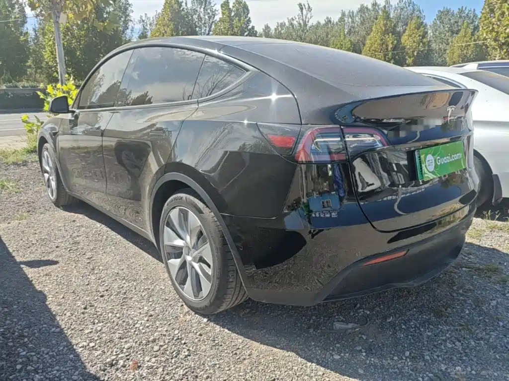 Tesla Model Y — миниатюра 5