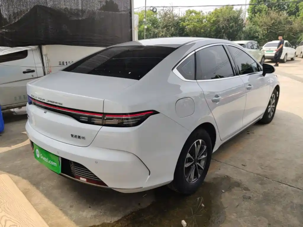 BYD Destroyer 05 2024 DM-i 55KM Luxury