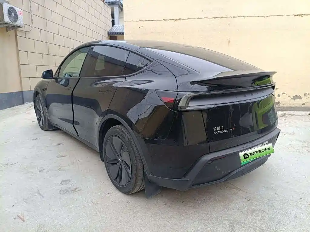 Tesla Model Y — миниатюра 4