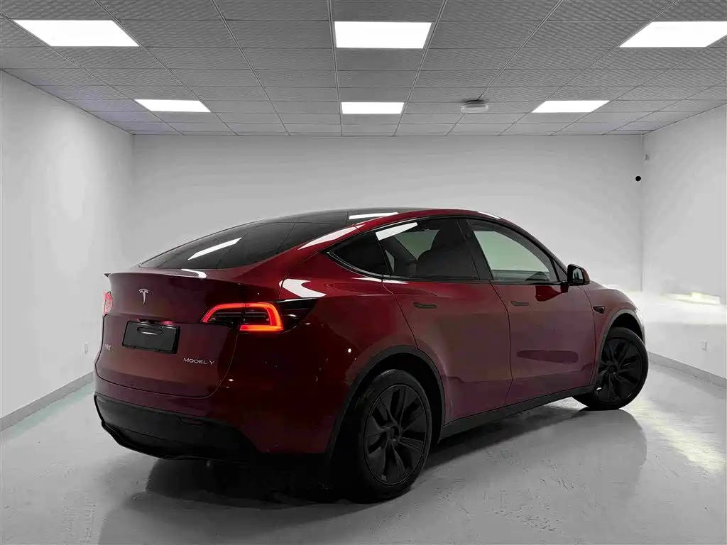 Tesla Model Y — миниатюра 18