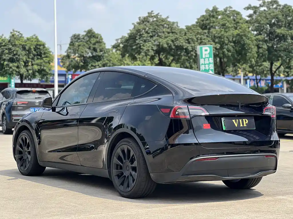Tesla Model Y — миниатюра 12