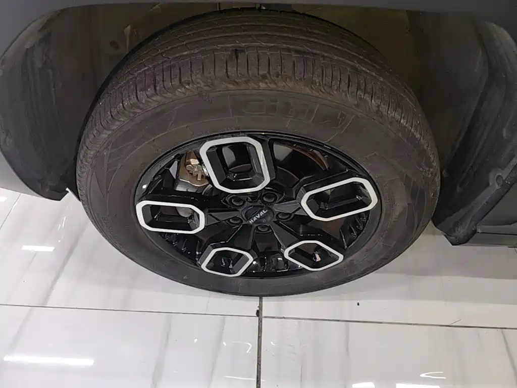 Haval Cool Dog — миниатюра 23