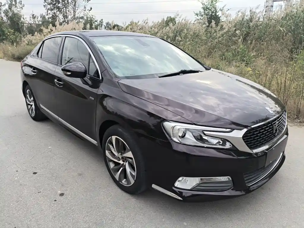 DS DS 5LS — миниатюра 4