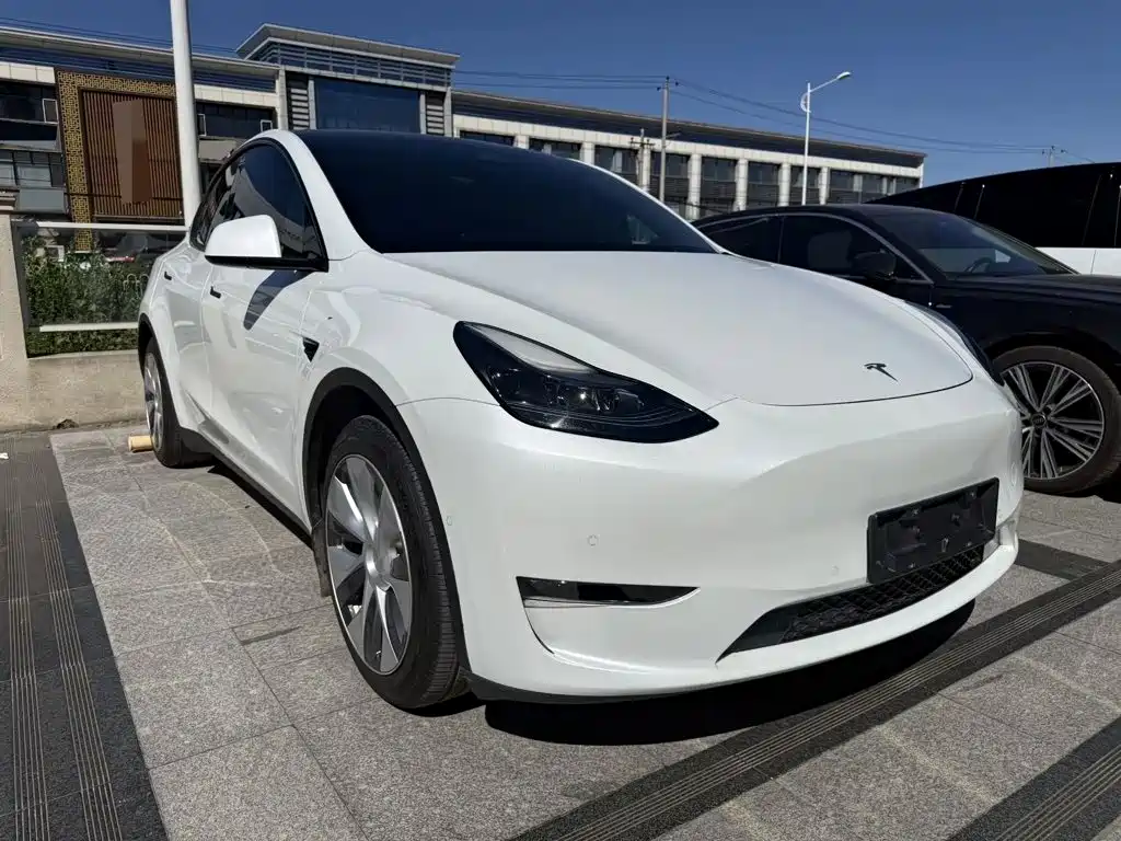 Tesla Model Y — миниатюра 3