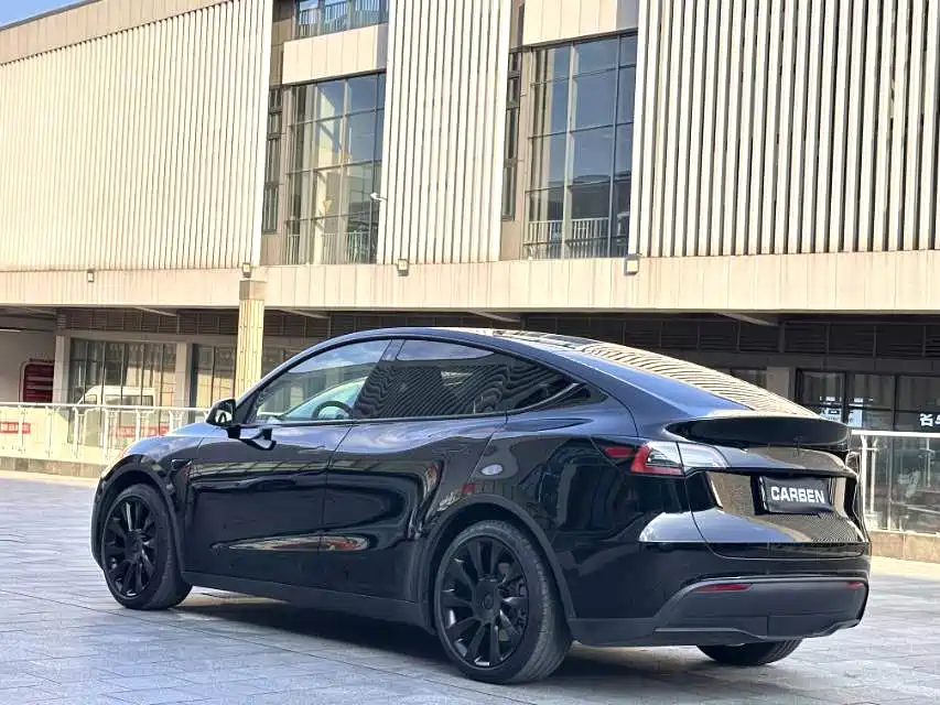 Tesla Model Y — миниатюра 9