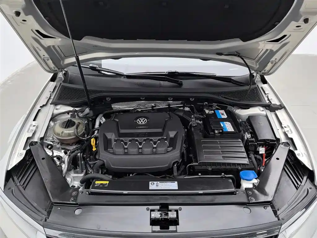 Volkswagen Magotan 2019 330TSI DSG Luxury VI