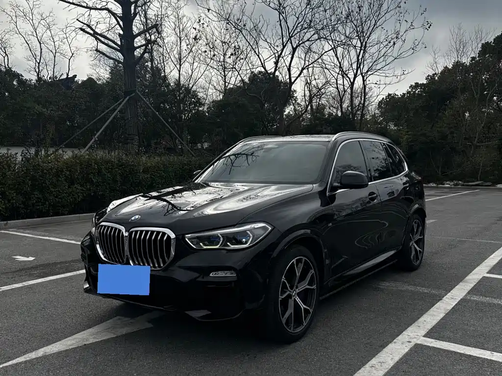 BMW X5 (Import) 2019