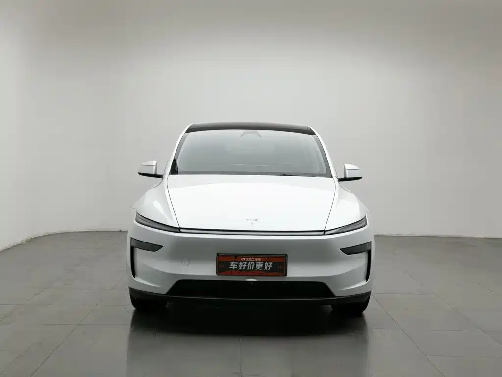 Tesla Model Y — миниатюра 3
