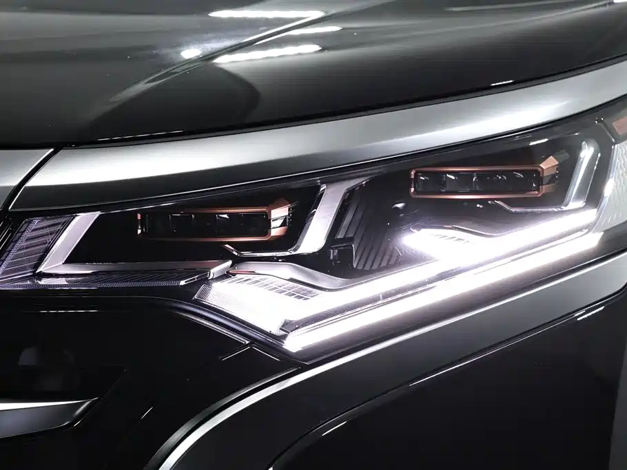 Denza Denza D9 — миниатюра 16