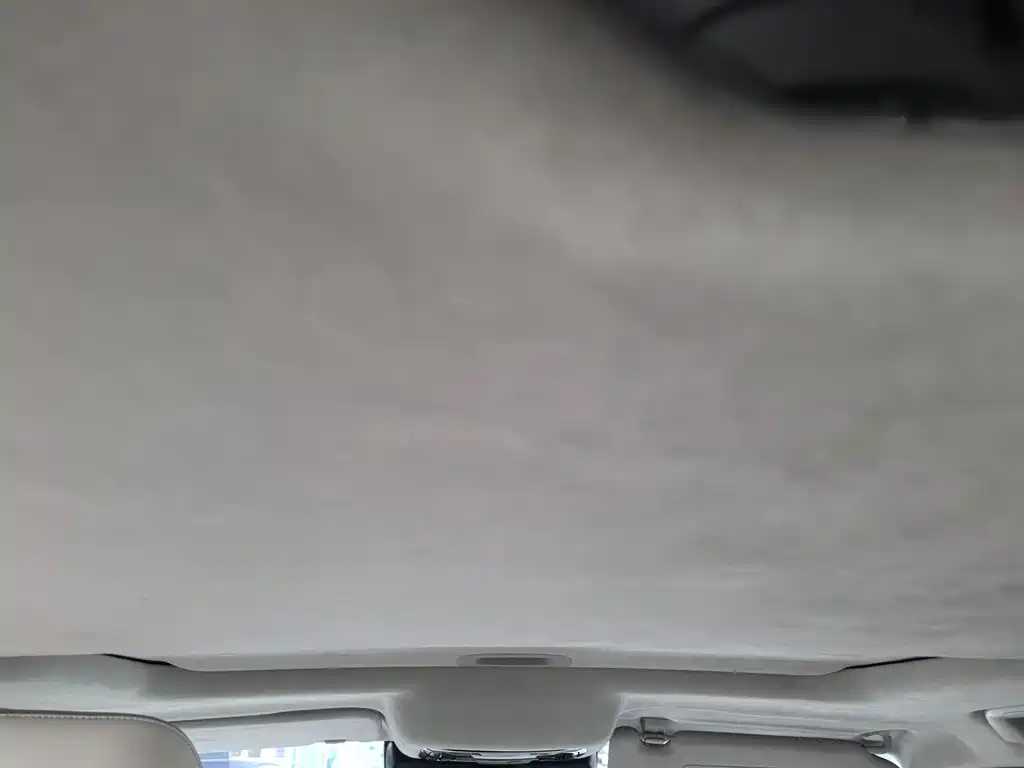 TANK CO CREATION TANK 300