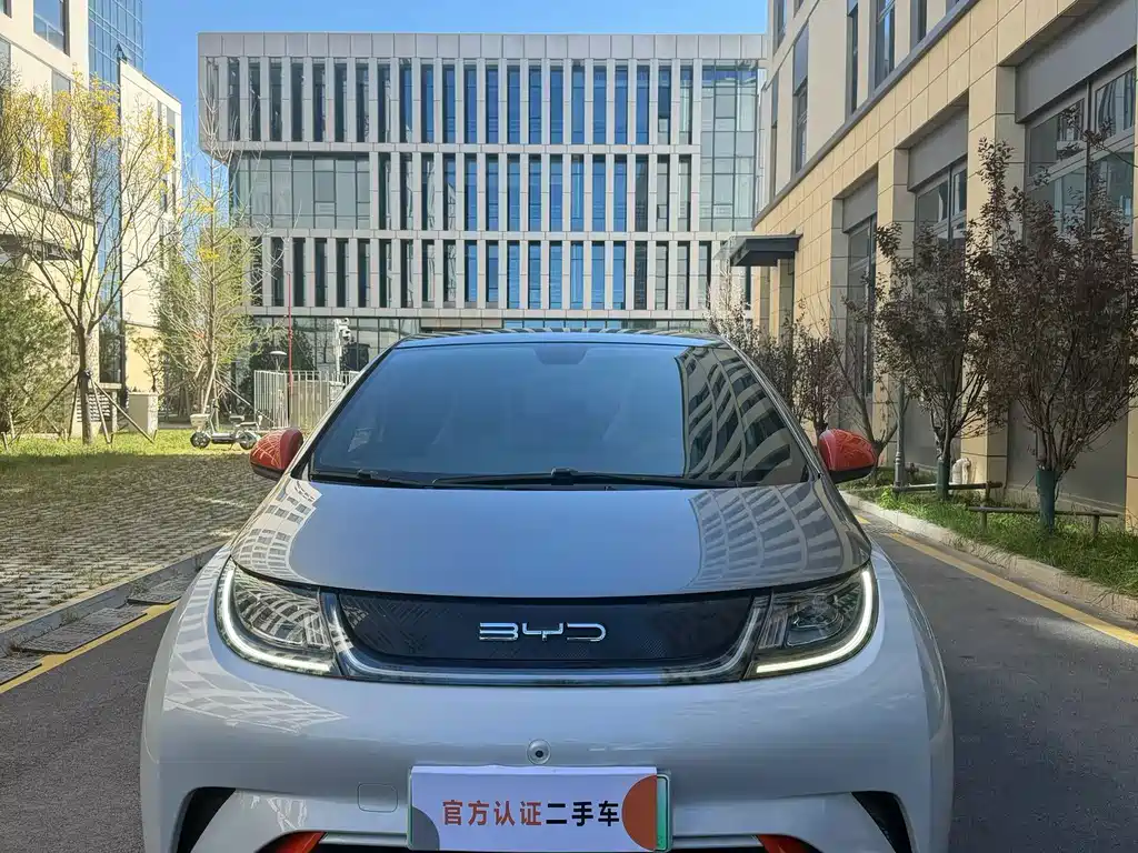BYD Dolphin — миниатюра 2
