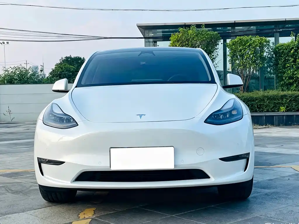 Tesla Model Y 2023 — фото 2