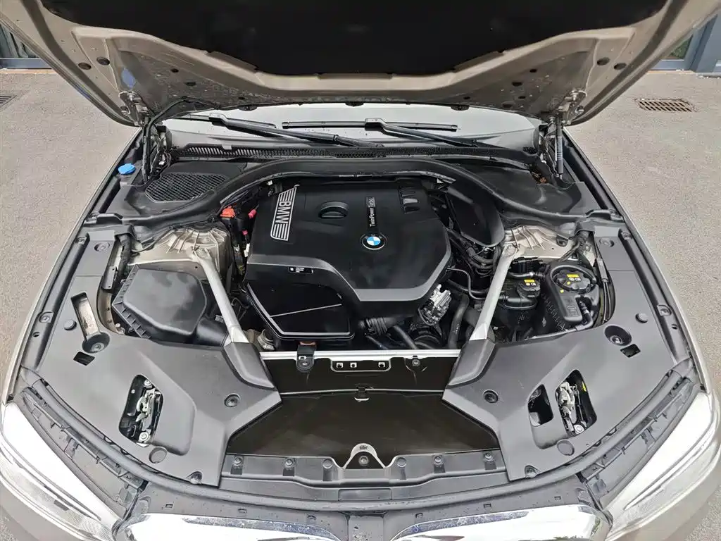 BMW 5 Series 5 2020 530Li Lead Luxury