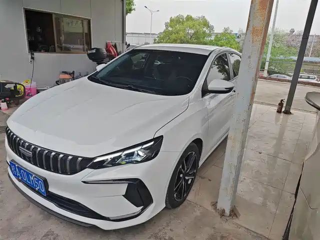 2024 Geely Binrui